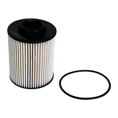 0.07kg Foton Aumark Brennstofffilter P111000000245 für die Haut des Mars Original