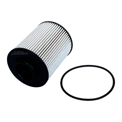 0.07kg Foton Aumark Brennstofffilter P111000000245 für die Haut des Mars Original