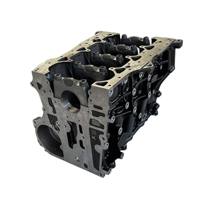 Foton Aumark Ojai 2.5 Motorenzylinder-Blockmontage PM2210Y2401091180J RF2401050382