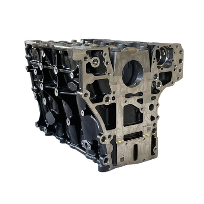 Foton Aumark Ojai 2.5 Motorenzylinder-Blockmontage PM2210Y2401091180J RF2401050382